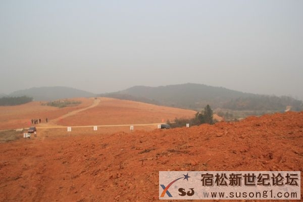 油茶基地.jpg