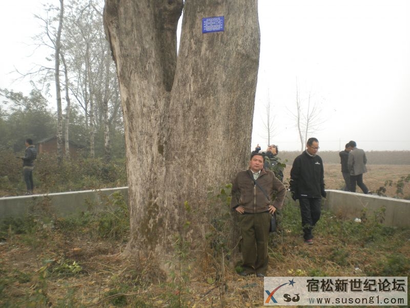 探访古雷池  走进新湿地 038.jpg