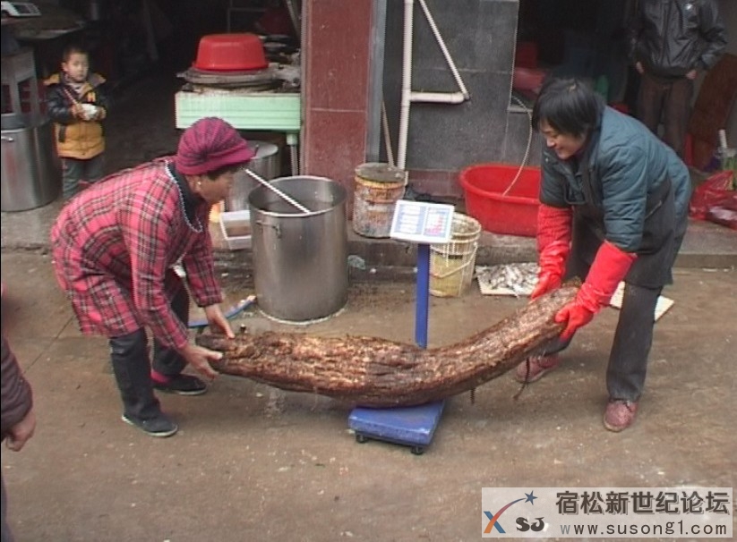 QQ图片20131209133112.jpg