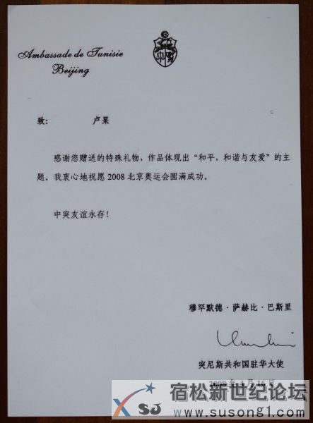 2008北京夏季奥运会活动回顾 (5).jpg