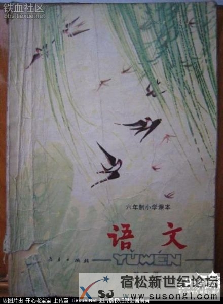 psb(72).jpg