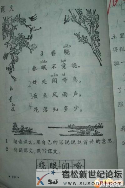 psb(75).jpg