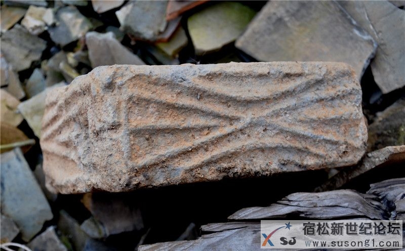 宿松新世纪论坛探访雷池17.jpg