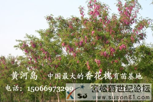 照片 002.jpg