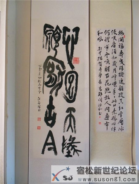 宿松新世纪论坛摄 宿松诗词楹联协会 宿松新韵 诗书画展05.jpg