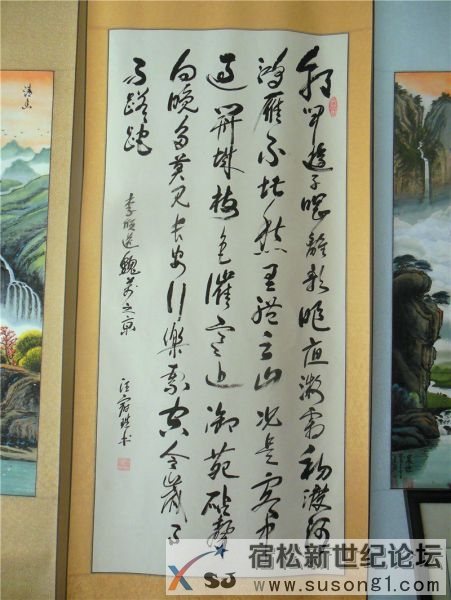 宿松新世纪论坛摄 宿松诗词楹联协会 宿松新韵 诗书画展10.jpg