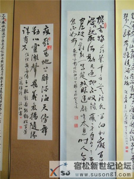 宿松新世纪论坛摄 宿松诗词楹联协会 宿松新韵 诗书画展16.jpg