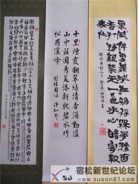 宿松新世纪论坛摄 宿松诗词楹联协会 宿松新韵 诗书画展18.jpg