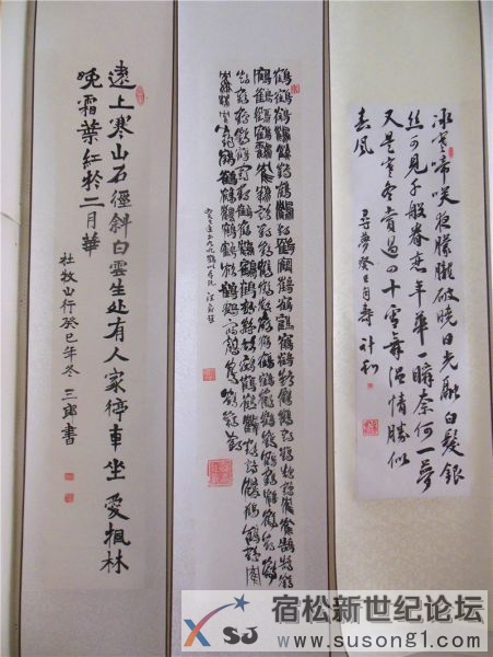 宿松新世纪论坛摄 宿松诗词楹联协会 宿松新韵 诗书画展24.jpg
