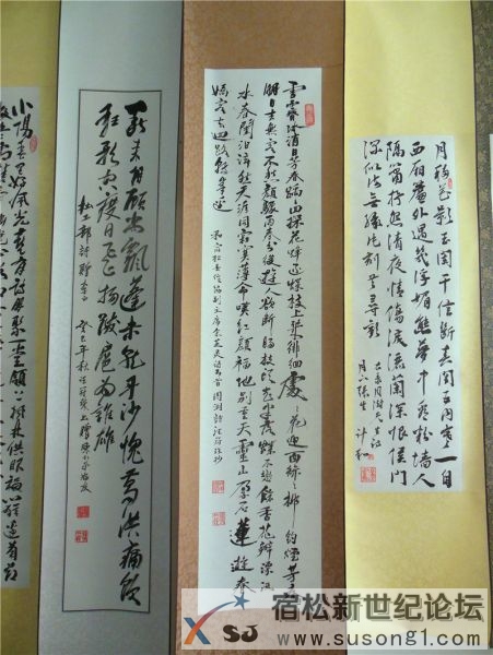 宿松新世纪论坛摄 宿松诗词楹联协会 宿松新韵 诗书画展27.jpg