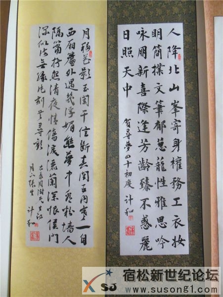 宿松新世纪论坛摄 宿松诗词楹联协会 宿松新韵 诗书画展28.jpg