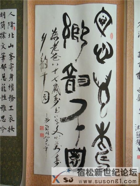 宿松新世纪论坛摄 宿松诗词楹联协会 宿松新韵 诗书画展29.jpg