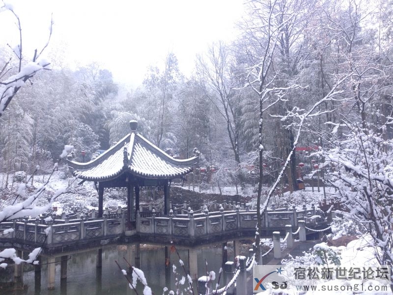 雪.jpg