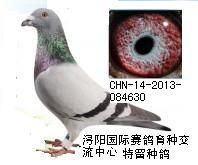 QQ图片20140118194323.jpg