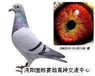 QQ图片20140118194122.jpg