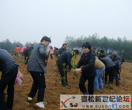 QQ截图20140309181746.jpg