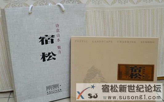 宿松.jpg