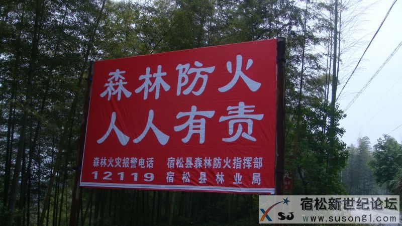 DSC01402.JPG