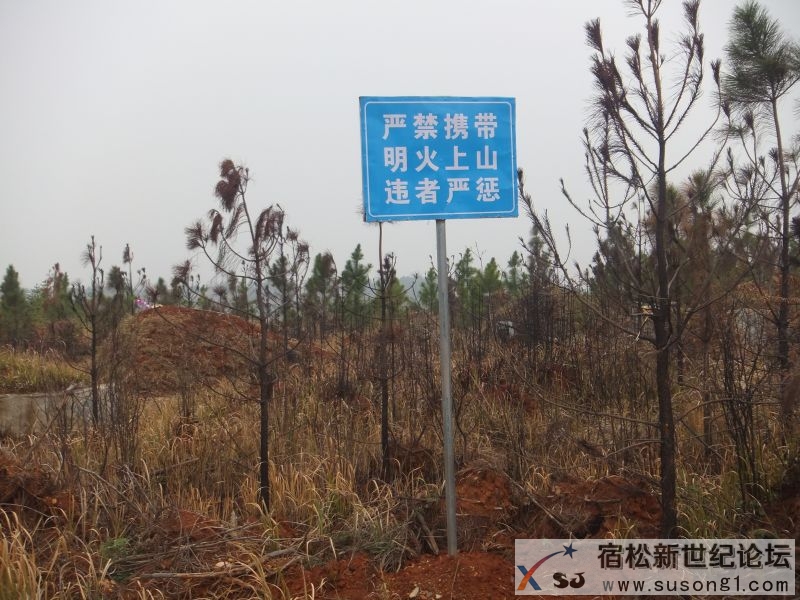 DSCF5488.JPG