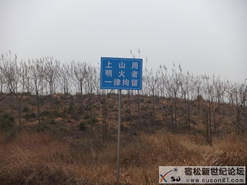 DSCF5489.JPG