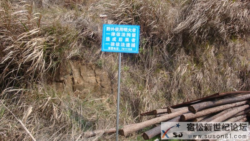 DSC09974.JPG