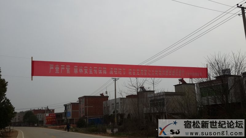 20140318_144220.jpg