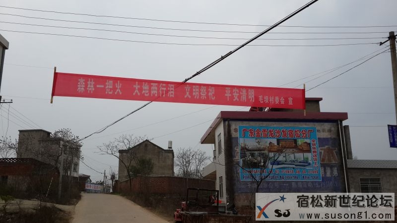 20140318_170105.jpg