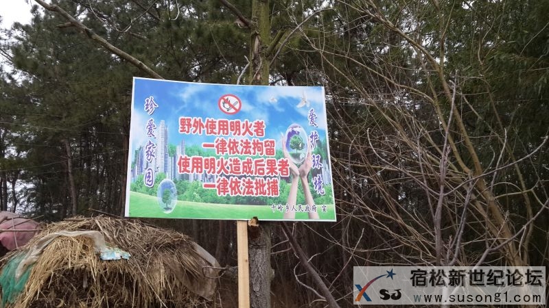 20140318_170825.JPG