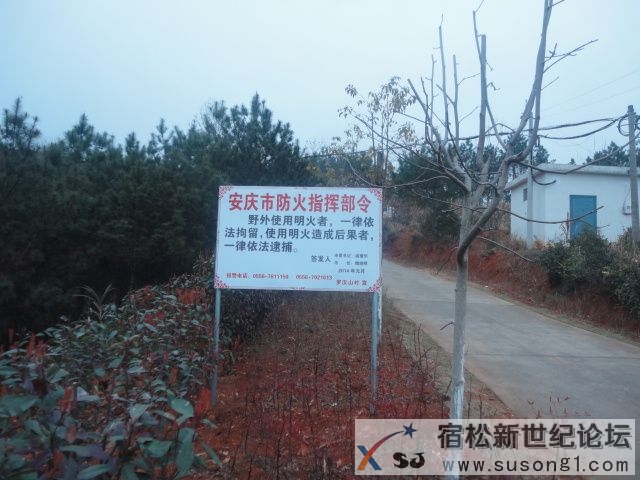 DSC08641.JPG