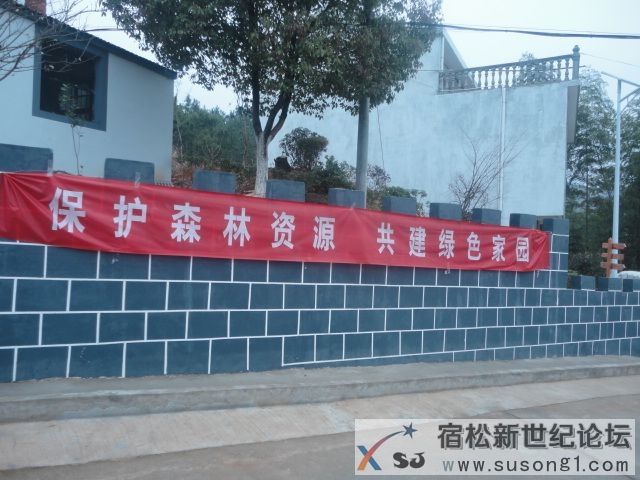 DSC08645.JPG