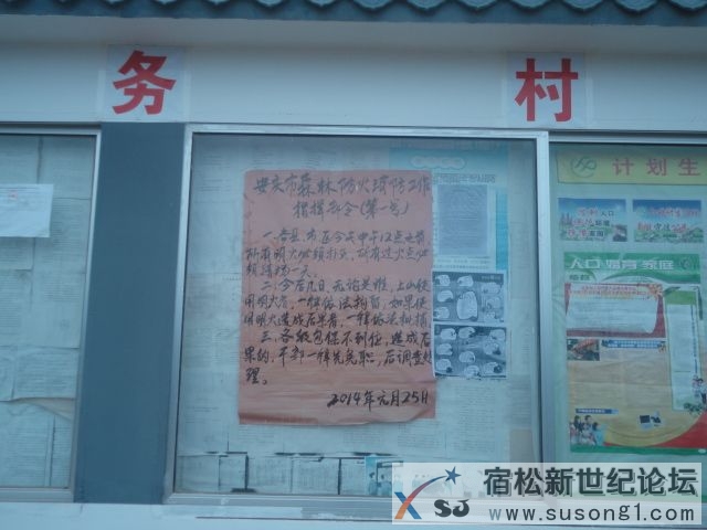 DSC08647.JPG