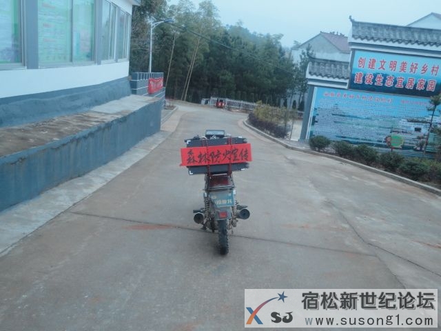 DSC08648.JPG