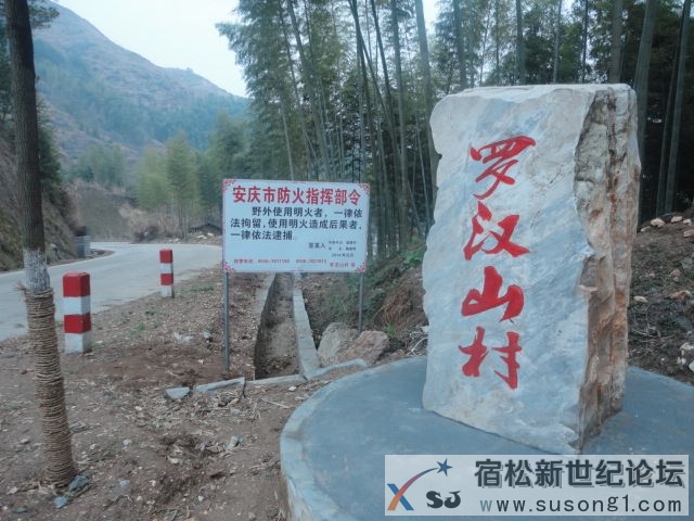 DSC08652.JPG