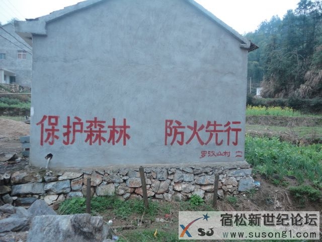 DSC08656.JPG