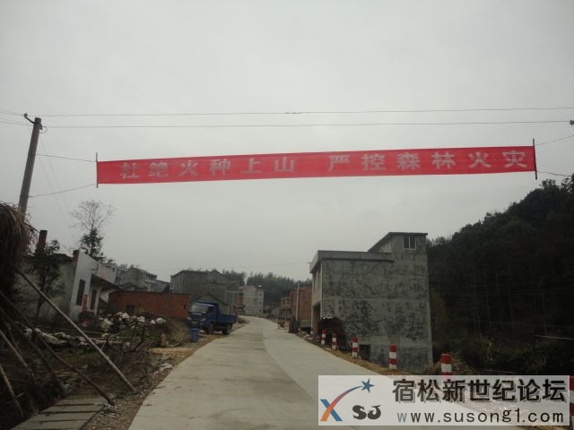 DSC08658.JPG