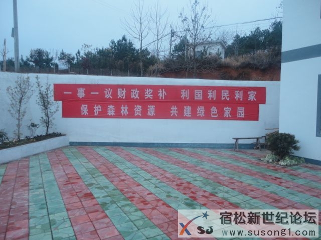 DSC08638.JPG