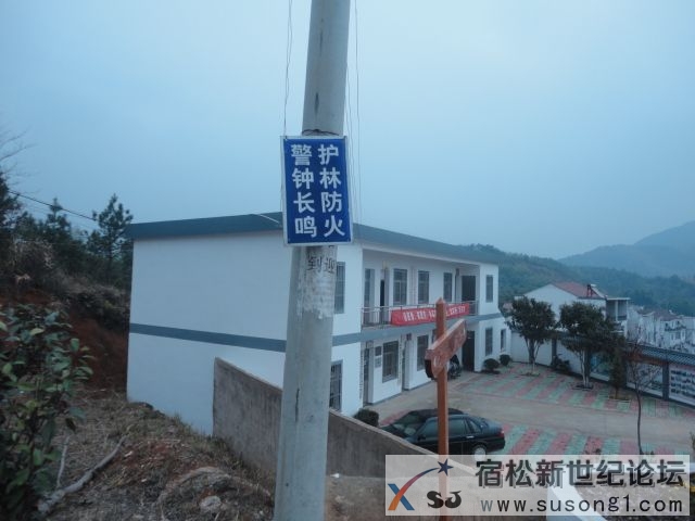 DSC08666.JPG