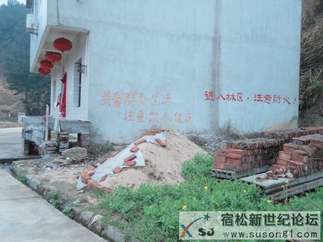 DSC08678.JPG