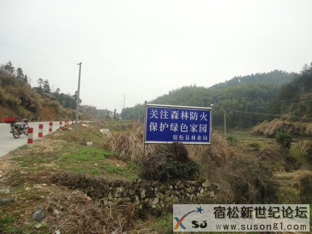 DSC08664.JPG