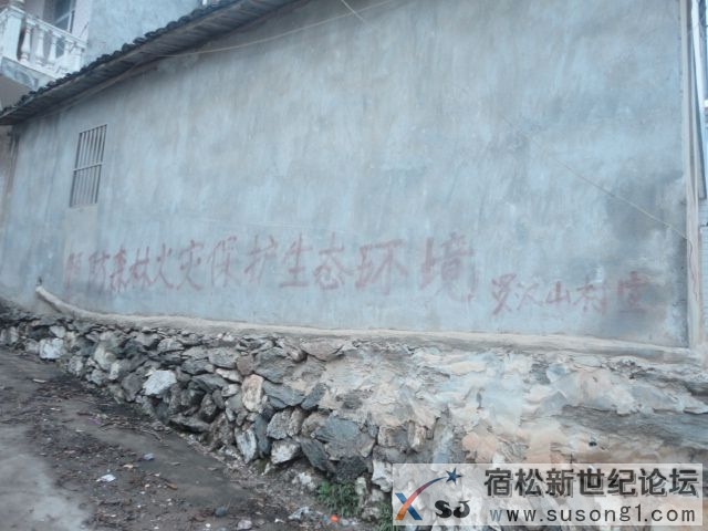 DSC08665.JPG