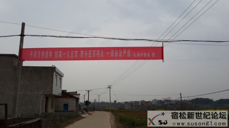 20140318_153230.jpg