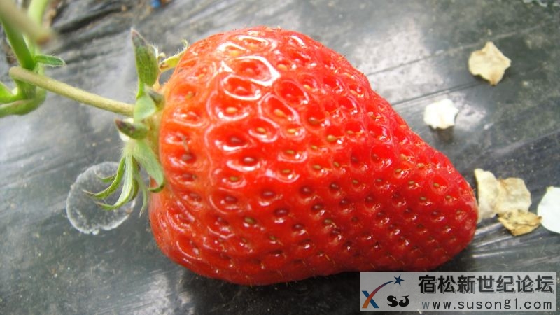 DSC01396.JPG