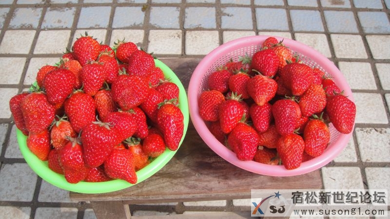 DSC01404.JPG