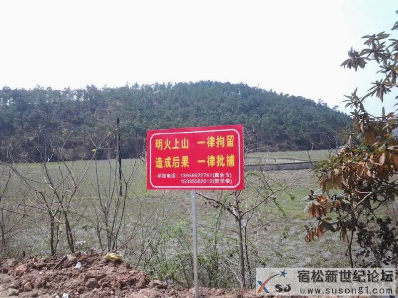 QQ图片20140326133929.jpg