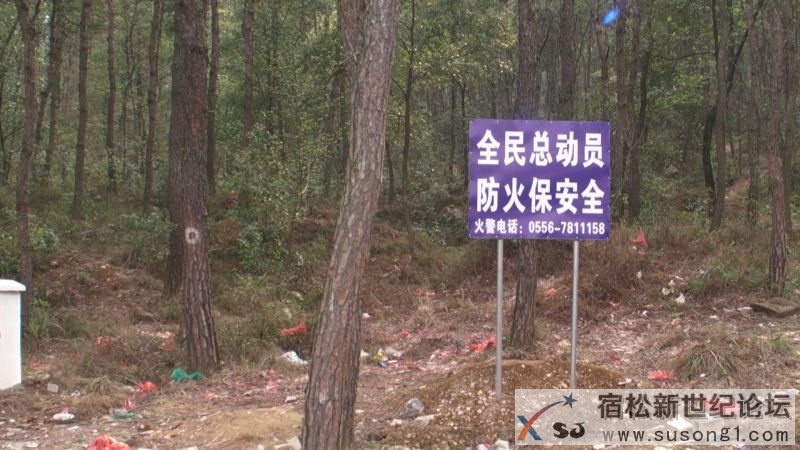 CAM_0943.JPG