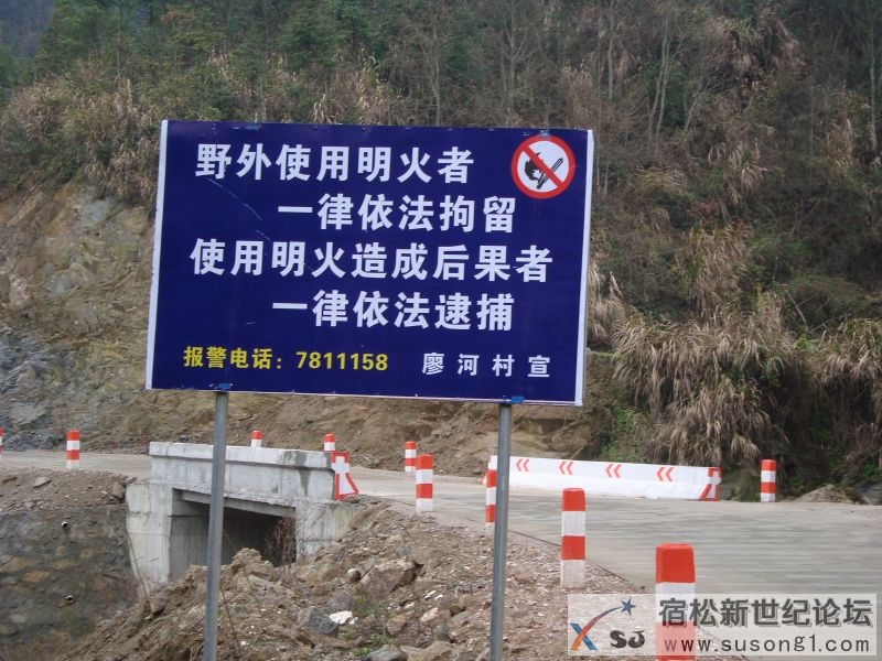 DSC05441_1_.JPG