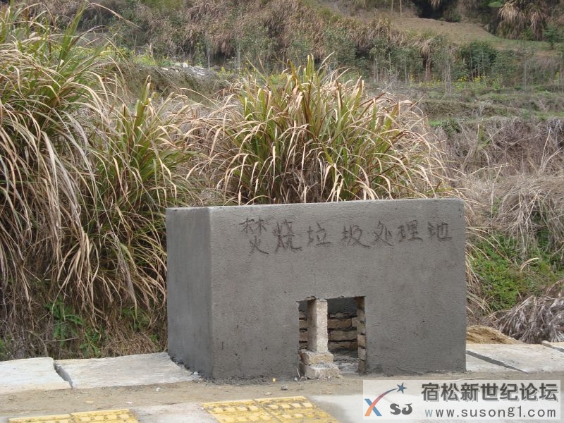 DSC05445_1_.JPG