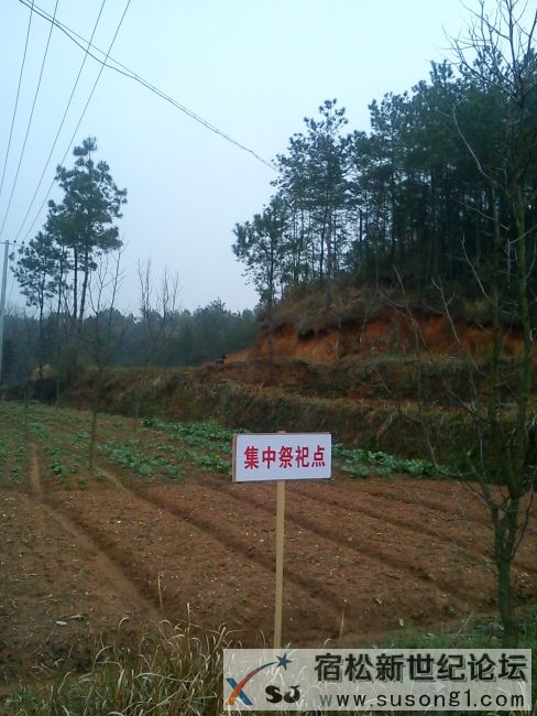 隘口3.jpg