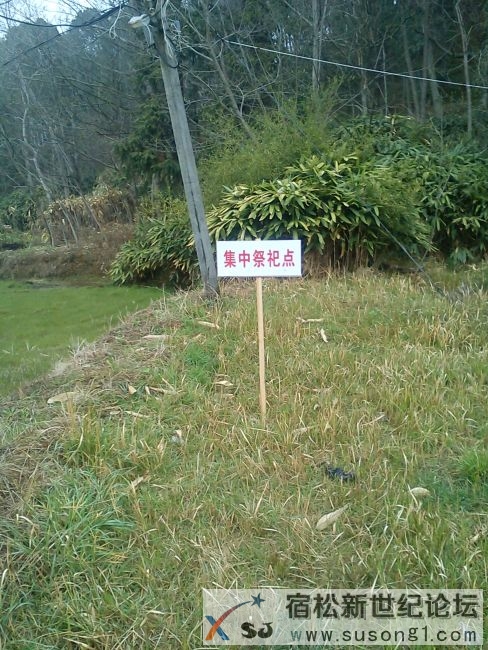 隘口4.jpg