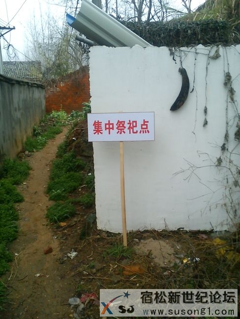 隘口5.jpg